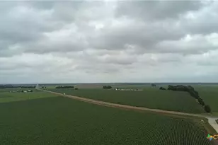 000 Hwy 50, Snook, TX 77845 - Photo 19