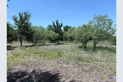 210 Horace Howard Drive, San Marcos, TX 78666 - Photo 5