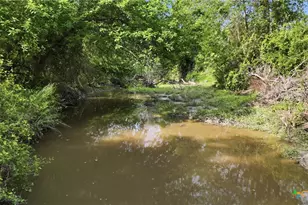 1883 Turkey Bottom Rd, Yoakum, TX 77984 - Photo 13