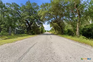 1883 Turkey Bottom Rd, Yoakum, TX 77984 - Photo 43