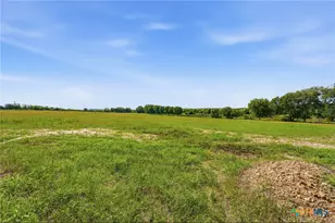 1883 Turkey Bottom Rd, Yoakum, TX 77984 - Photo 29