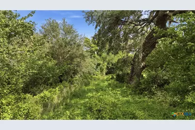 1883 Turkey Bottom Road, Yoakum, TX 77984 - Photo 17