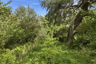 1883 Turkey Bottom Rd, Yoakum, TX 77984 - Photo 17