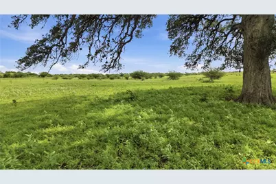 1883 Turkey Bottom Road, Yoakum, TX 77984 - Photo 7