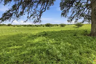 1883 Turkey Bottom Rd, Yoakum, TX 77984 - Photo 7