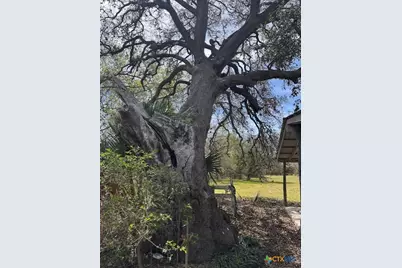 271 W Fm 884, Goliad, TX 77963 - Photo 3