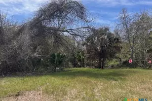 271 W Fm 884, Goliad, TX 77963 - Photo 1