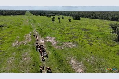 10772 State Highway 111, Edna, TX 77957 - Photo 9
