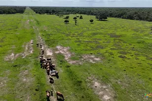 10772 State Hwy 111, Edna, TX 77957 - Photo 9
