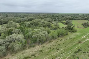 10772 State Hwy 111, Edna, TX 77957 - Photo 19