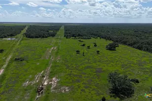 10772 State Hwy 111, Edna, TX 77957 - Photo 11