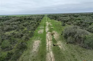 10772 State Hwy 111, Edna, TX 77957 - Photo 37