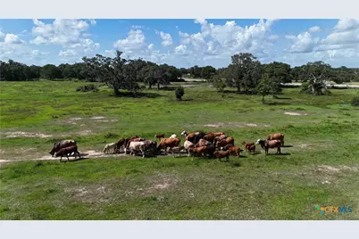 10772 State Highway 111, Edna, TX 77957 - Photo 5