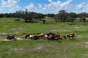 10772 State Hwy 111, Edna, TX 77957 - Photo 5