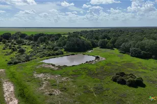 10772 State Hwy 111, Edna, TX 77957 - Photo 21