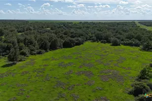 10772 State Hwy 111, Edna, TX 77957 - Photo 15