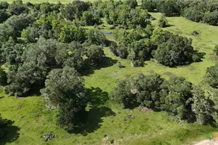 10772 State Hwy 111, Edna, TX 77957 - Photo 23