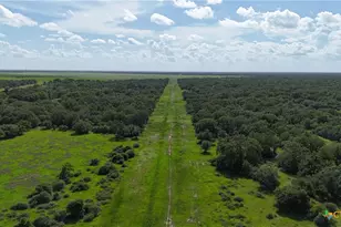10772 State Hwy 111, Edna, TX 77957 - Photo 19