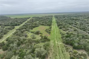 10772 State Hwy 111, Edna, TX 77957 - Photo 11