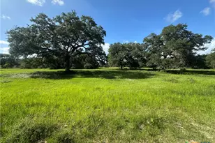 10772 State Hwy 111, Edna, TX 77957 - Photo 33