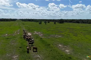 10772 State Hwy 111, Edna, TX 77957 - Photo 7