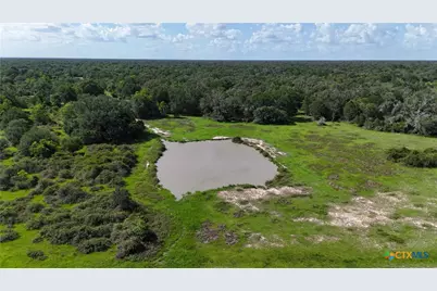 10772 State Highway 111, Edna, TX 77957 - Photo 3