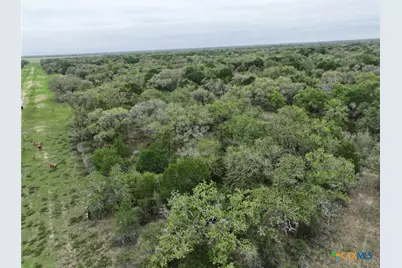 10772 State Highway 111, Edna, TX 77957 - Photo 23