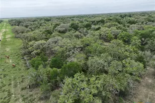 10772 State Hwy 111, Edna, TX 77957 - Photo 23
