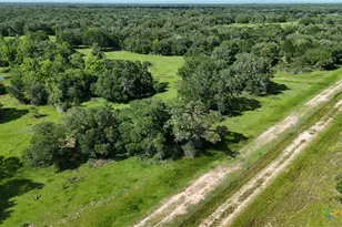 10772 State Hwy 111, Edna, TX 77957 - Photo 27