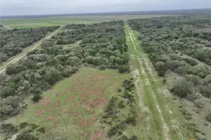 10772 State Hwy 111, Edna, TX 77957 - Photo 13