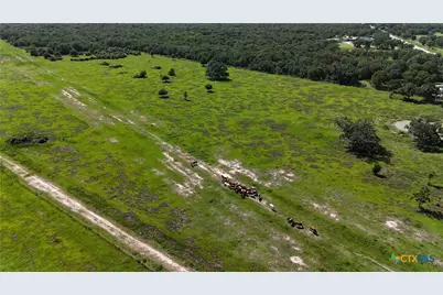 10772 State Highway 111, Edna, TX 77957 - Photo 13