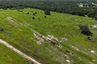 10772 State Hwy 111, Edna, TX 77957 - Photo 13