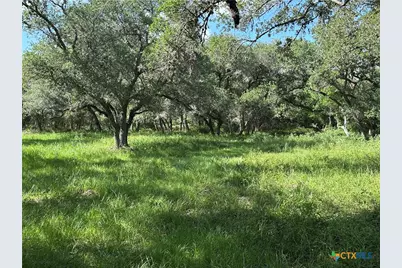 10772 State Highway 111, Edna, TX 77957 - Photo 31