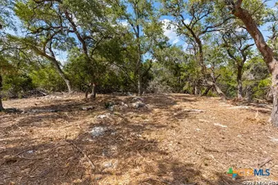1468 Stahlman Way, New Braunfels, TX 78132 - Photo 3
