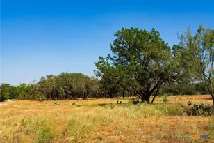 0000 Old Ferry Rd, Spicewood, TX 78669 - Photo 15