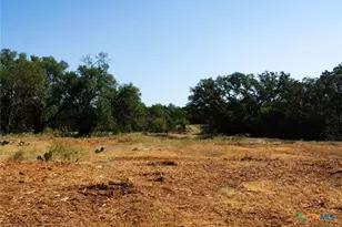 0000 Old Ferry Rd, Spicewood, TX 78669 - Photo 17