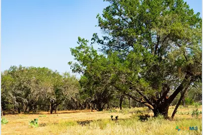 0000 Old Ferry Road, Spicewood, TX 78669 - Photo 3