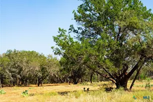 0000 Old Ferry Rd, Spicewood, TX 78669 - Photo 3