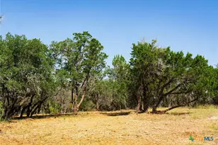 0000 Old Ferry Rd, Spicewood, TX 78669 - Photo 19