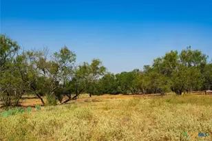 0000 Old Ferry Rd, Spicewood, TX 78669 - Photo 5