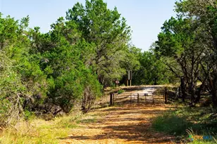 0000 Old Ferry Rd, Spicewood, TX 78669 - Photo 9
