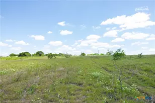Lot 4 Hwy 36, Rogers, TX 76569 - Photo 9