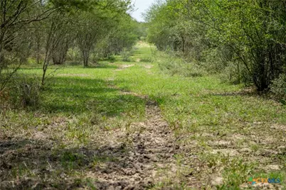 0 Golly Road, Cuero, TX 77954 - Photo 19