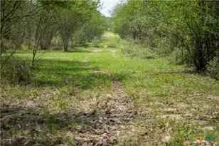 0 Golly Rd, Cuero, TX 77954 - Photo 19