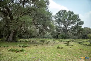 0 Golly Rd, Cuero, TX 77954 - Photo 25
