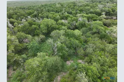 341 Mission River Oaks Road, Woodsboro, TX 78393 - Photo 9