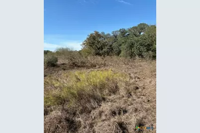 00 Quail Run Trail, Fannin, TX 77960 - Photo 7
