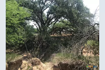 00 Quail Run Trail, Fannin, TX 77960 - Photo 11