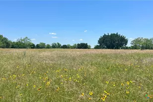 254 County Rd 340, McGregor, TX 76657 - Photo 21