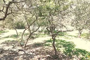 7821 Elk Dr, Spring Branch, TX 78070 - Photo 29